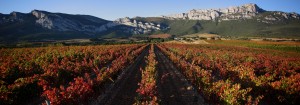 Ruta del Vino de Rioja Alavesa Foto. Camino Ignaciano. Enoturismo. Ruta del Vino de Rioja Alavesa