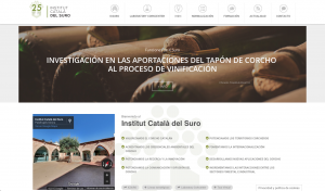 icsuro Imagen del nuevo espacio web de ICSURO.