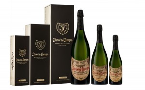 Juvé & Camps Imagen. Juvé & Camps presenta su cava estrella