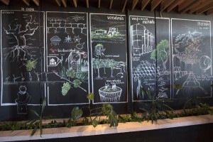 navidad diferente Imagen. Una navidad diferente desde el corazón de la Ruta del Vino de Rueda
