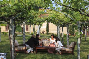 Imagen. 20 Aniversario de la Ruta Do Viño Rías Baixas BODEGA Y VIEDO EN O SALNES