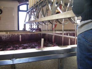 Quinta do Noval Imagen. Lagares en la sala de vinificación de la Quinta do Noval.