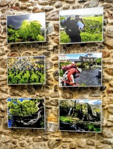 Cuatro Pasos es una bodega berciana Imagen. Fotografías de Xurxo Lobato.