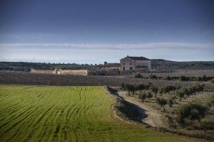 Bodegas Torres construirá una bodega en Lleida, en su finca de L’Aranyó Bodegas Torres construirá una bodega en Lleida, en su finca de L’Aranyó