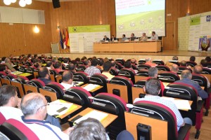 La calidad de la uva y su precio La calidad de la uva y su precio