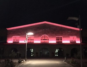 Bodega Emina se tiñe de rosa en el día contra el cáncer de mama bodega-emina-contra-el-cancer-de-mama