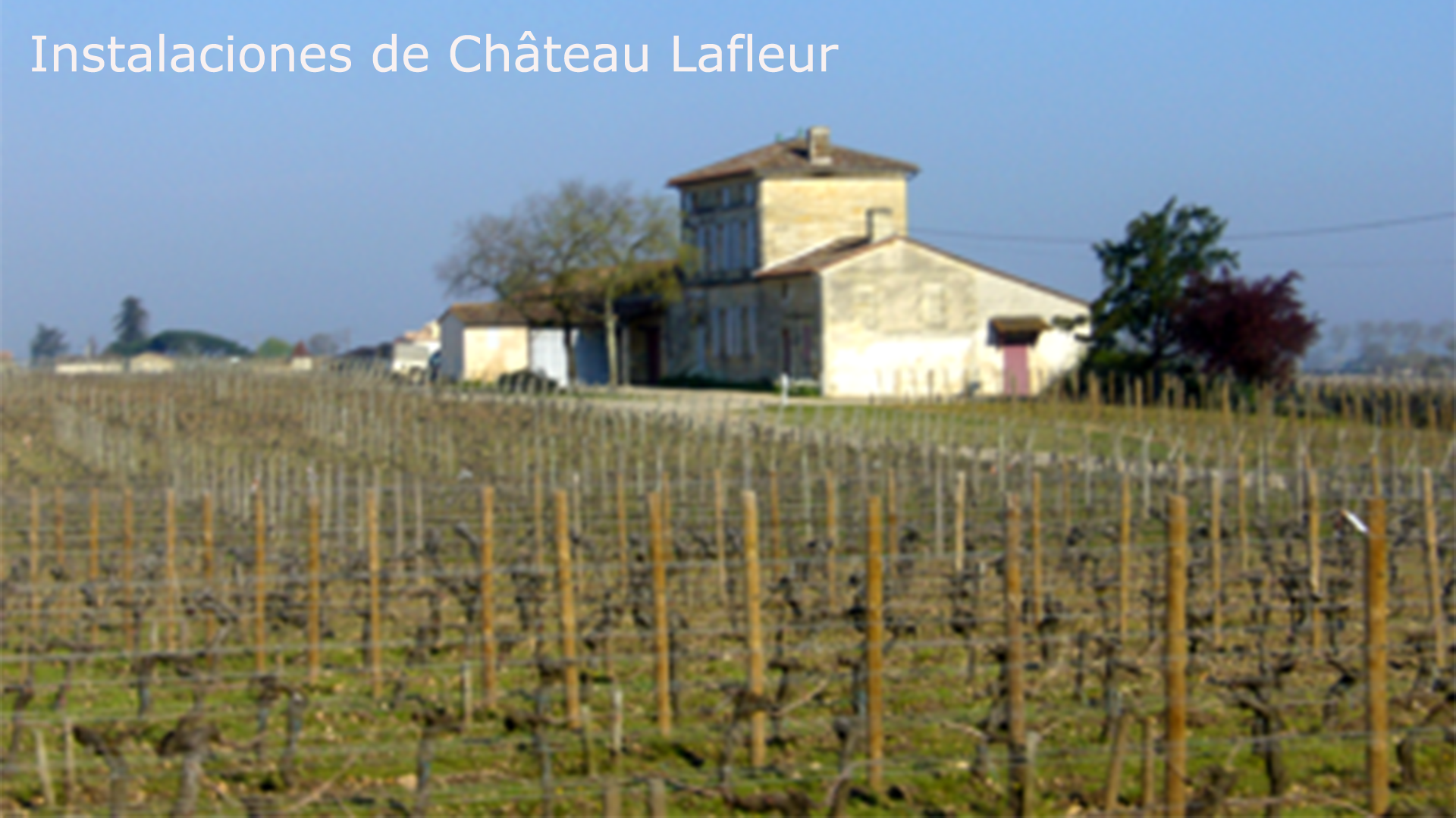 Château Lafleur. Uno de los mejores vinos del mundo. - VINOS DIFERENTES