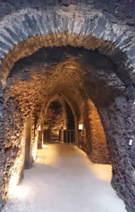 bodega particular