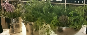 Imagen. Vegetación de la finca donde se asientan los viñedos de Mas de Sella
