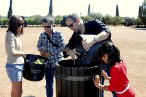 Foto de Villa Laguardia Taller de vendimia. Rioja alavesa. Vive la experiencia
