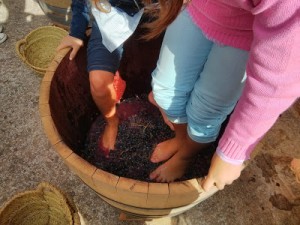 Imagen de la pasada edición de la fiesta fin de vendimia de la Bodega Vera de Estenas.