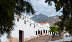 Enoturismo Ruta del Vino Ribera del Guadiana Imagen. Enoturismo Ruta del Vino Ribera del Guadiana