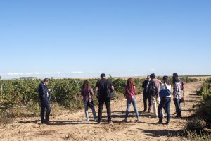 Día Europeo del Enoturismo en Rueda.