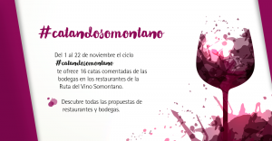 Imagen #CatandoSomontano. La Ruta del Vino Somontano celebrará durante todo el mes de noviembre el Día Europeo del Enoturismo.