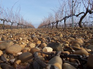 cubilla Foto Terroir Lezcano. Cubillas de Santa Marta será escenario de la I Jornada sobre Territorio, Patrimonio e Industria Vitivinícola