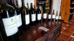 Recipientes de diferente capacidad. Bodega Matarromera, DO Ribera del Duero 