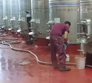 Bodega Matarromera, depósitos de acero inoxidable. DO Ribera del Duero