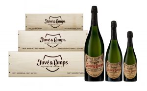 Imagen. Juvé & Camps presenta su cava estrella, el Reserva de la Familia, en tres formatos con la clásica caja de madera.