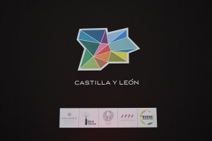 intur 2015 Imagen. Las cinco Rutas del Vino de Castilla y León en Intur 2015