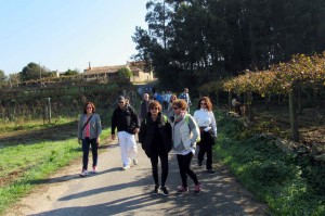 Ruta de senderismo entre viñedos Imagen. Ruta de senderismo entre viñedos organizada por la Ruta do Viño Rías Baixas