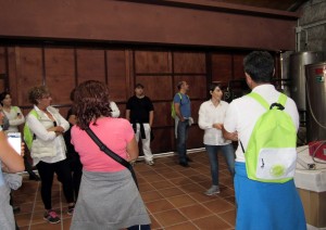 Ruta de senderismo entre viñedos Imagen. Ruta de senderismo entre viñedos organizada por la Ruta do Viño Rías Baixas
