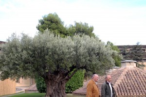 bodegas olarra Imagen. Ezequiel García “El Brujo” y Javier Martinez de Salinas.