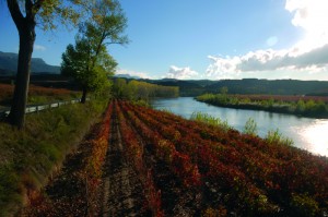 año nuevo Imagen. Recibe el año nuevo entre viñedos con la Ruta del Vino Rioja Alavesa