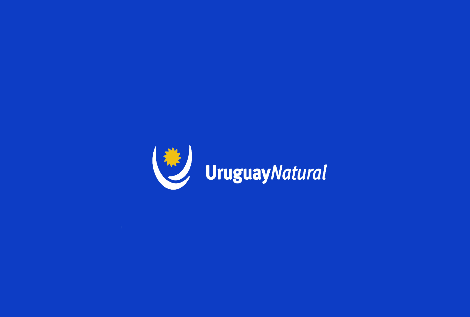Uruguay organiza una cata de tannat. - VINOS DIFERENTES