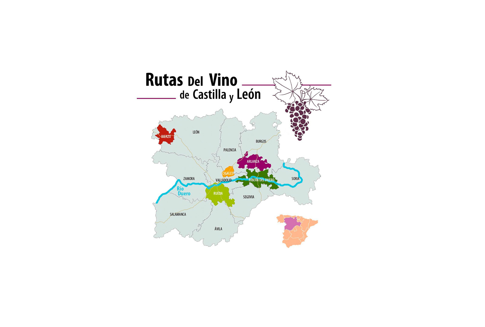 Rutas del Vino de Castilla y León en Fitur. - VINOS DIFERENTES
