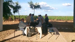 Seman Santa Semana santa en La Ruta del Vino de Rueda