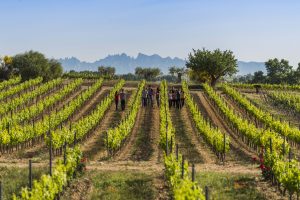 Wine Tourism Awards Wine Tourism Awards