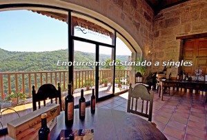 Actividades de enoturismo destinado a singles enoturismo singles