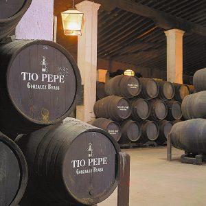 Tío Pepe, la marca de jerez más admirada del mundo. Tío Pepe, la marca de jerez más admirada del mundo.