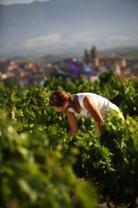 El Enobús de Rioja alavesa inicia en marzo su nueva temporada de visitas El Enobús de Rioja alavesa inicia en marzo su nueva temporada de visitas
