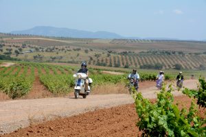 La Ruta del Vino Ribera del Guadiana inaugura su V primavera enogastronómica