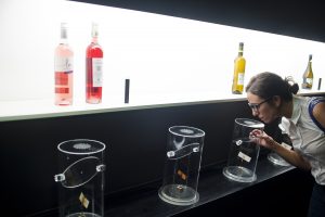 Esta semana santa, decántate por el enoturismo en La Ruta del Vino de Rueda Esta semana santa, decántate por el enoturismo en La Ruta del Vino de Rueda