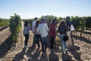 Esta semana santa, decántate por el enoturismo en La Ruta del Vino de Rueda