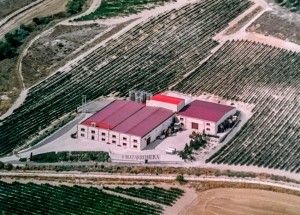 matarromera bodega matarromera bodega