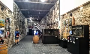 Imagen. Instalaciones de la Bodega Cuatro Pasos.