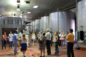 La Ruta del Vino Cigales, IWINETC. La Ruta del Vino Cigales, IWINETC.