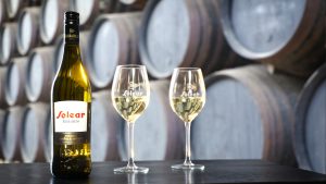 Barbadillo rompe su propio récord de ventas de Manzanilla en la Feria de Abril 2016 Manzanilla Solear Barbadillo