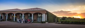 Best Wine Experience Bodegas Torres Best Wine Experience 1