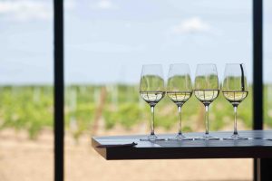 Las Rutas del Vino de Cigales y Rueda organizan en Madrid una Feria de Enoturismo