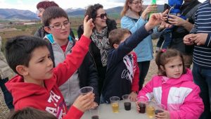 Vincana, la yincana del vino Vincana la yincana del vino 2