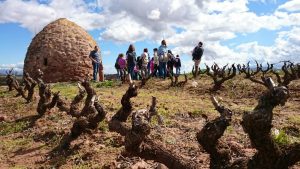 Vincana la yincana del vino 3