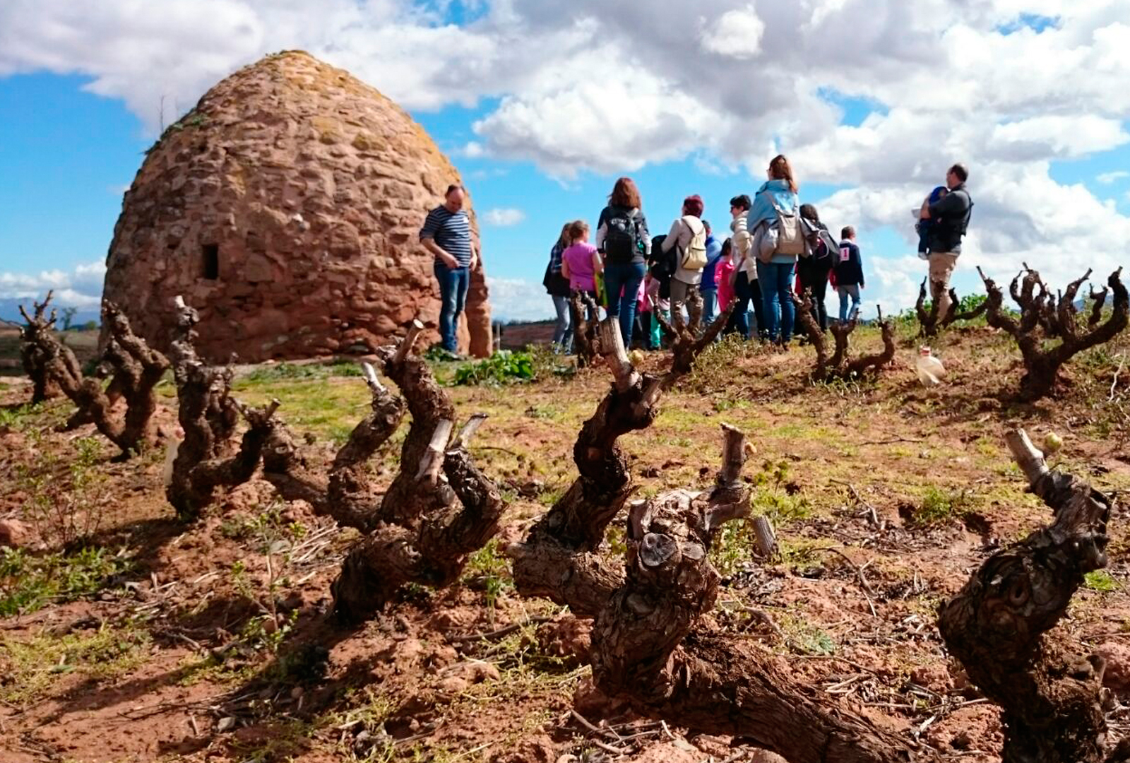 Vincana, la yincana del vino. - VINOS DIFERENTES