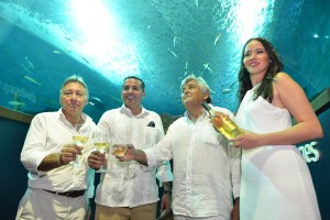 Barbadillo Blanco de Blancos Barbadillo Blanco de Blancos