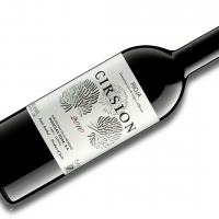 Cirsion 2010