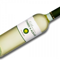 Albariño Condes de Albarei 2015