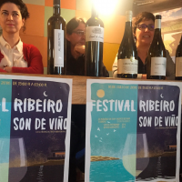 III Festival Ribeiro Son de Vino
